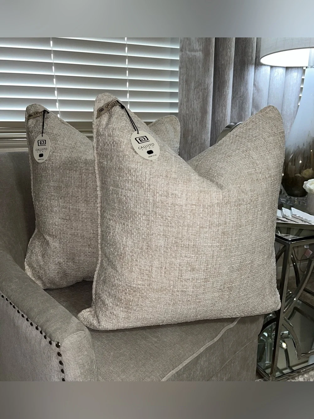 1-NWT CALLISTO HOME LUXURY VELVET DECORATIVE THROW PILLOW (T07263F11)